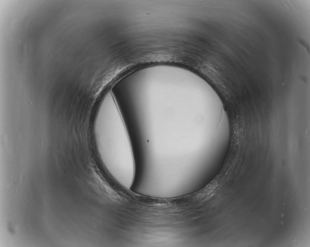 X0000102780160200808180939