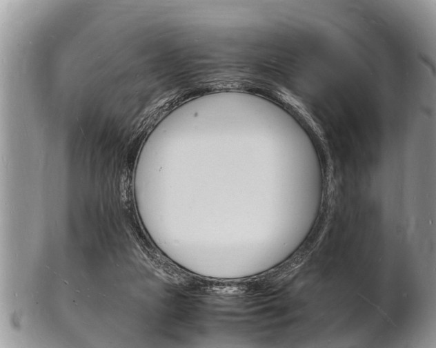 X0000102780161200808180939