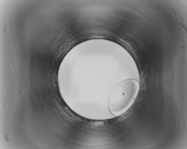 X0000102780162200808180939