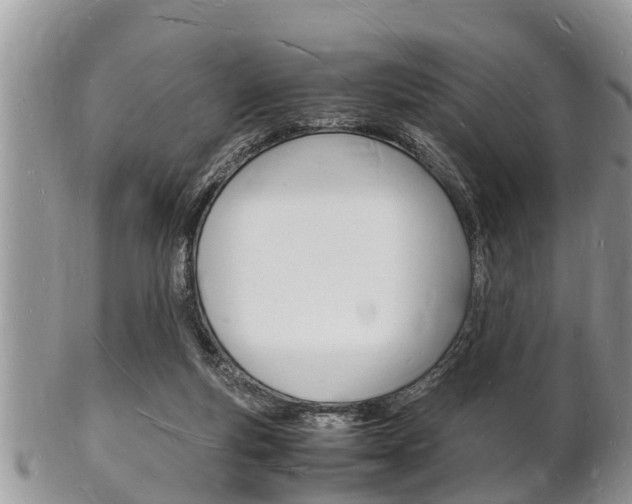 X0000102780163200808180939