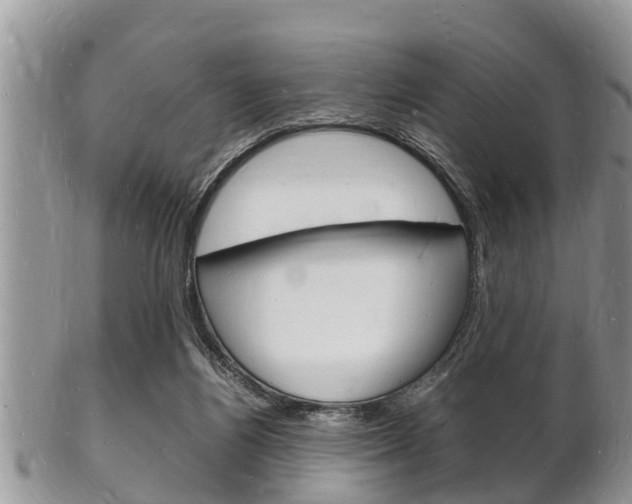 X0000102780164200808180939