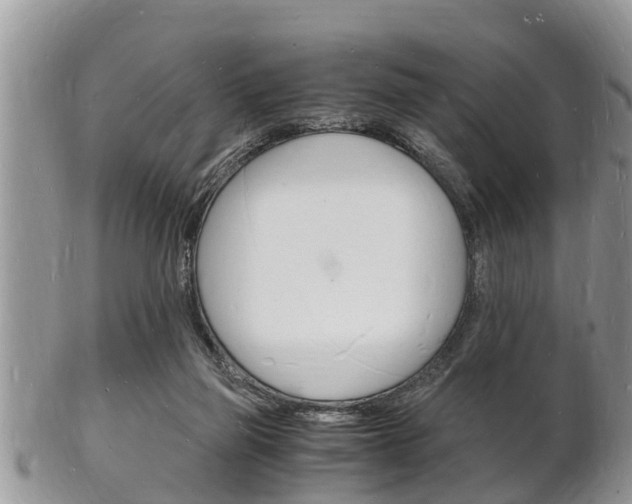 X0000102780165200808180939