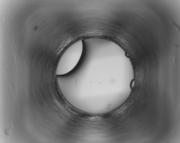 X0000102780168200808180939