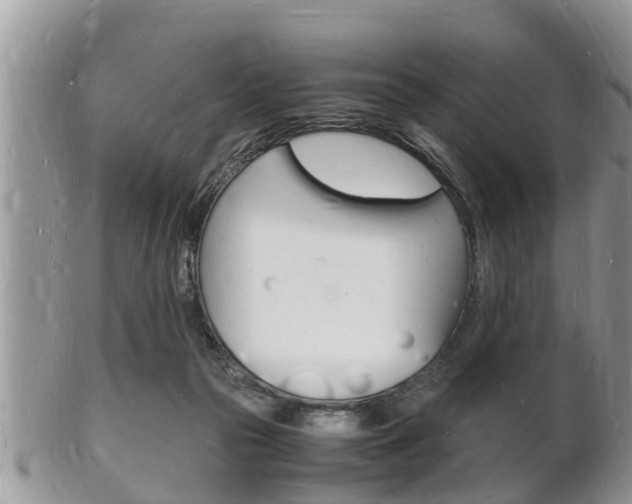 X0000102780169200808180939