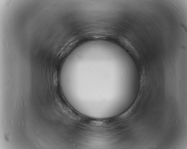 X0000102780170200808180939