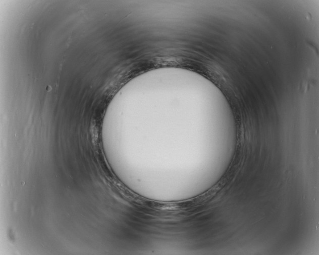 X0000102780173200808180939