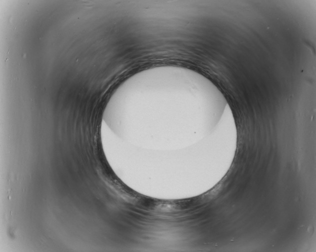 X0000102780174200808180939