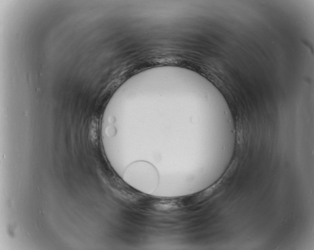 X0000102780175200808180939