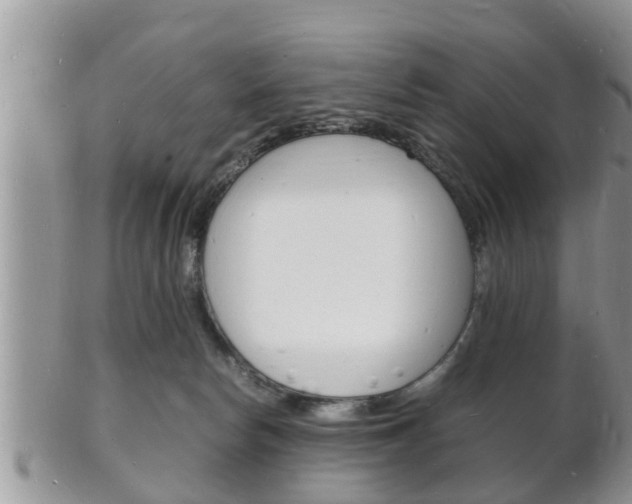 X0000102780178200808180940