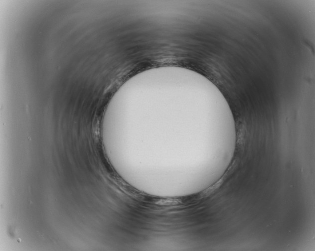 X0000102780179200808180940