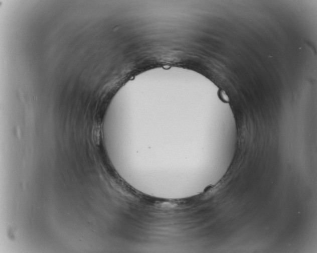 X0000102780180200808180940