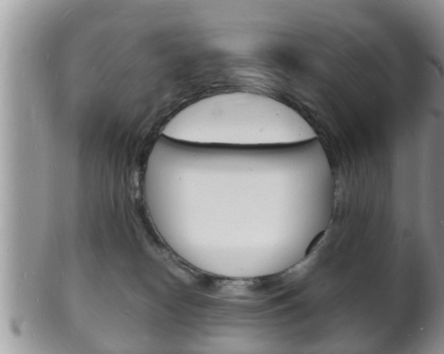 X0000102780182200808180940