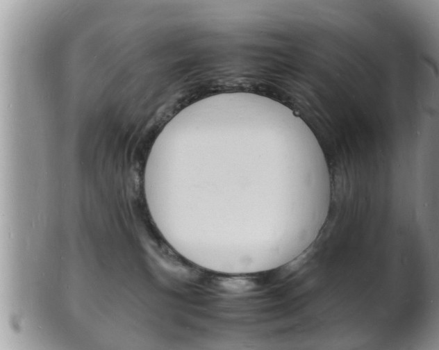 X0000102780183200808180940