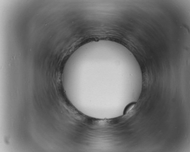 X0000102780184200808180940