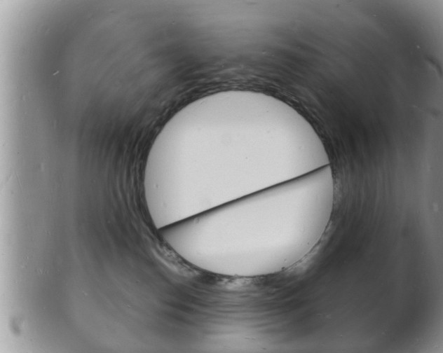 X0000102780186200808180940