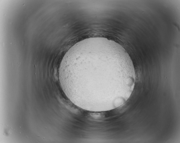 X0000102780187200808180940