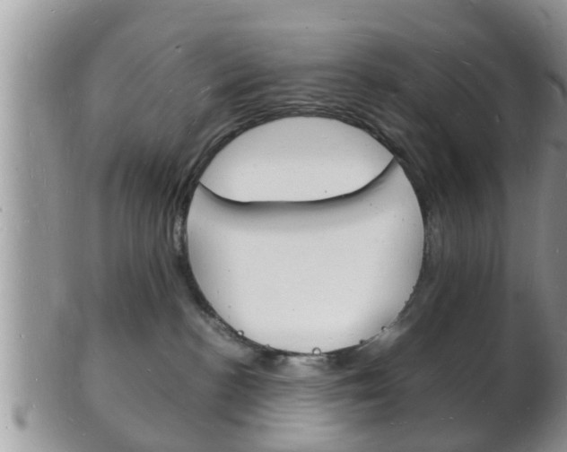 X0000102780188200808180940