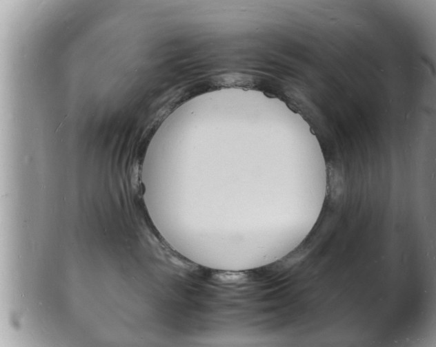 X0000102780189200808180940