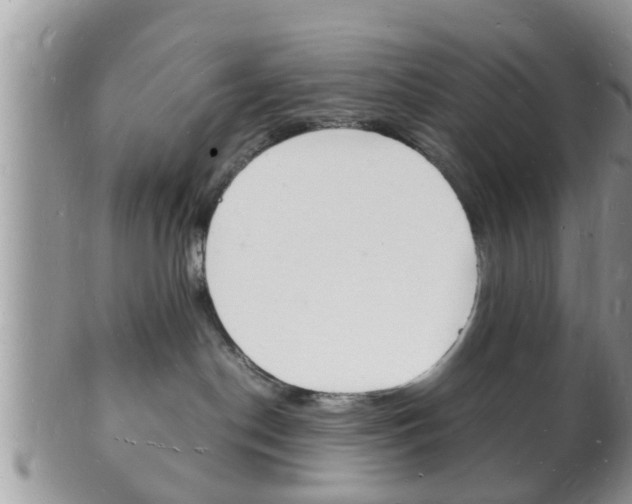 X0000102780190200808180940