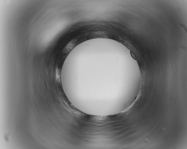 X0000102780191200808180940