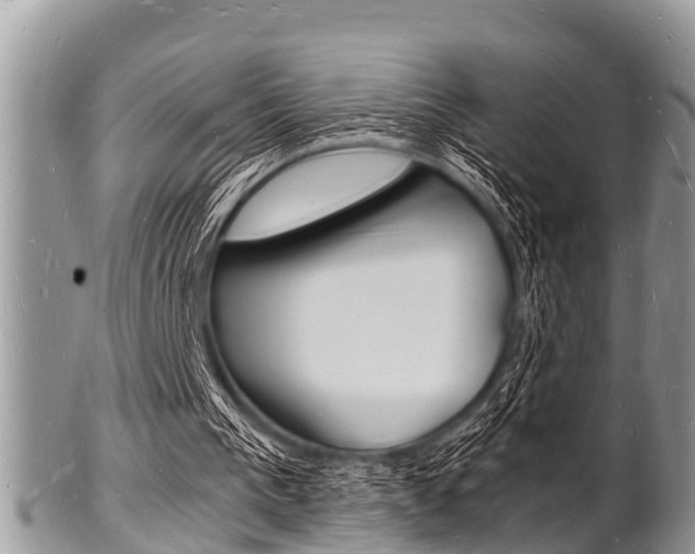 X0000102780193200808180939