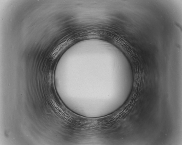 X0000102780194200808180939