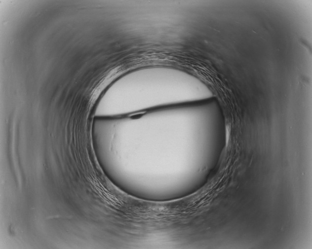 X0000102780195200808180939