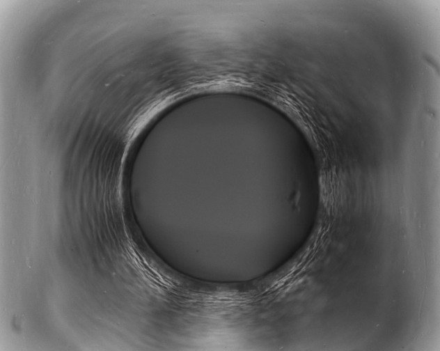 X0000102780196200808180939