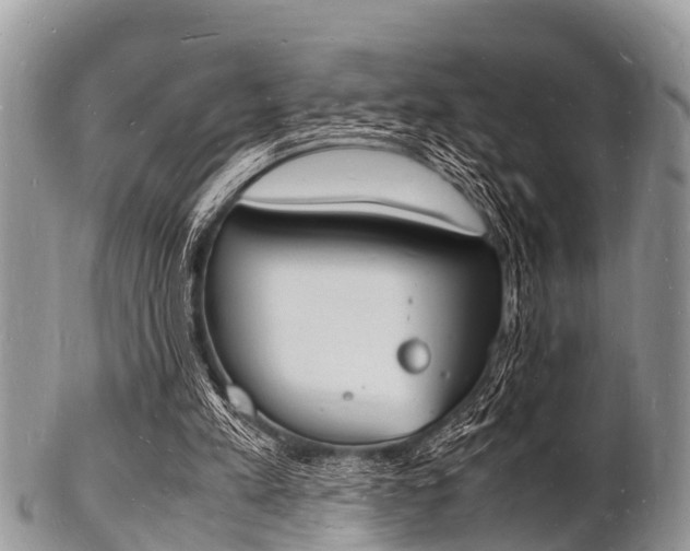 X0000102780197200808180939