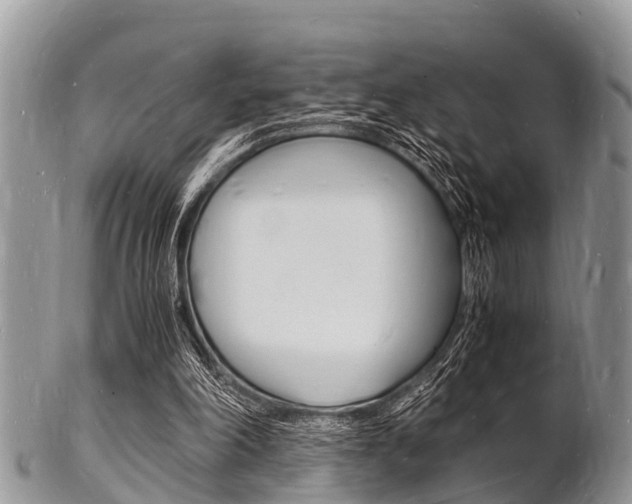 X0000102780198200808180939