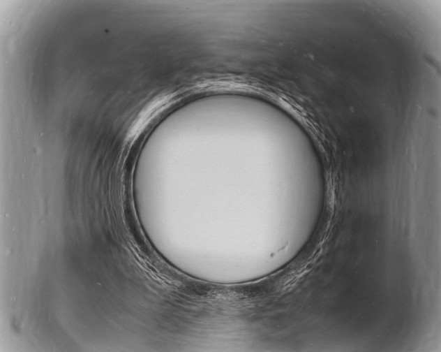 X0000102780199200808180939