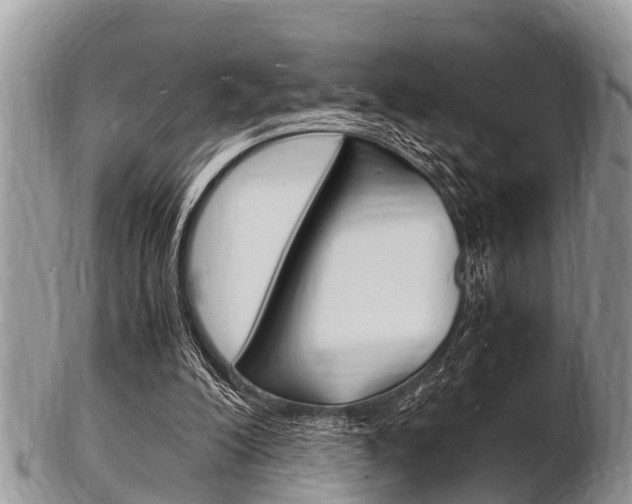 X0000102780200200808180939