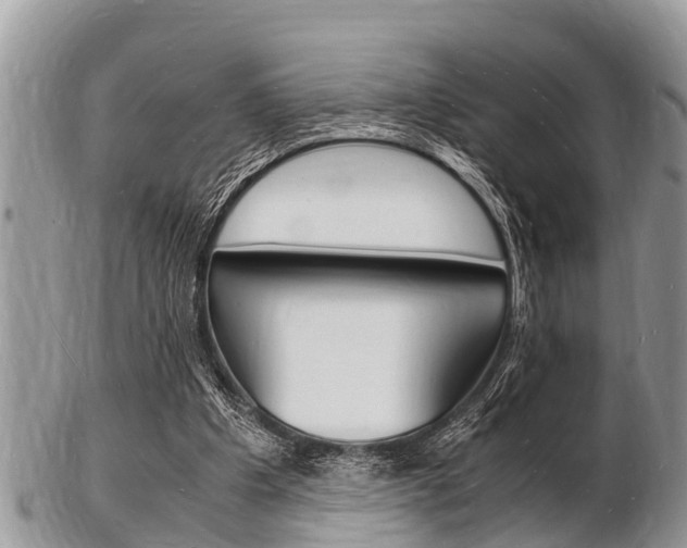 X0000102780201200808180939