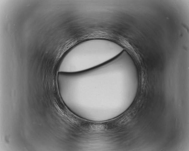 X0000102780202200808180939