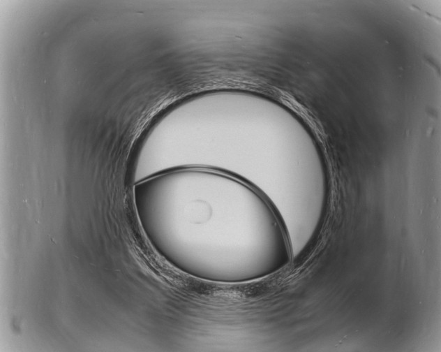 X0000102780203200808180939