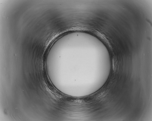 X0000102780204200808180939