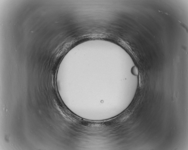 X0000102780205200808180939