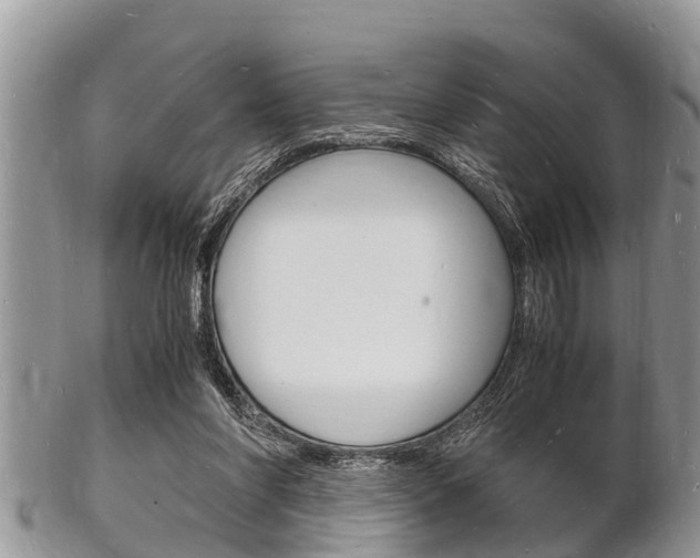 X0000102780206200808180939