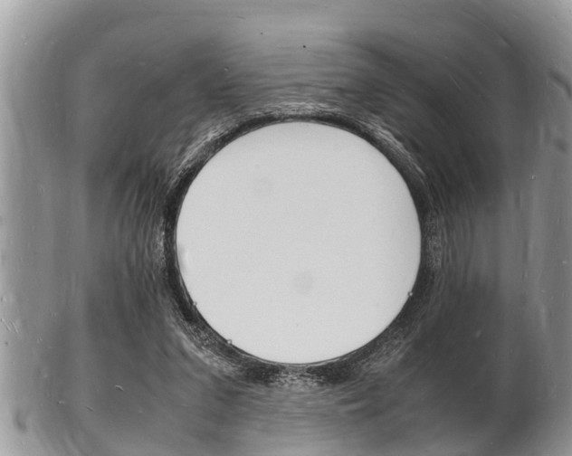 X0000102780207200808180939