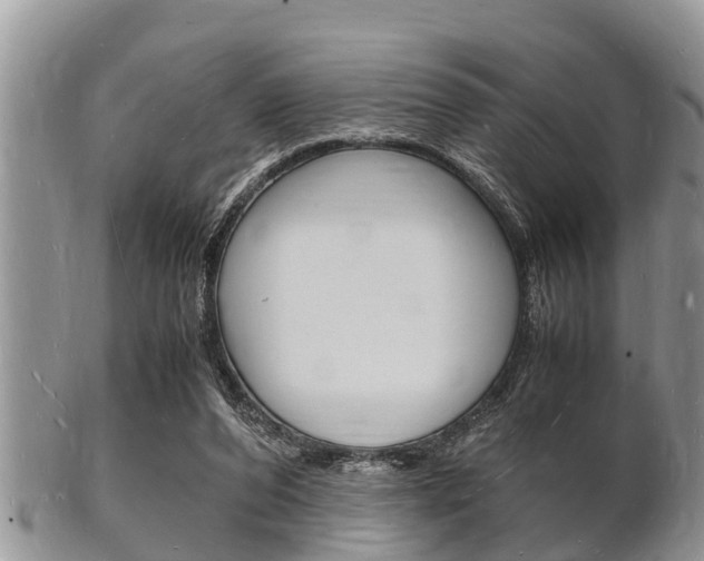 X0000102780208200808180939