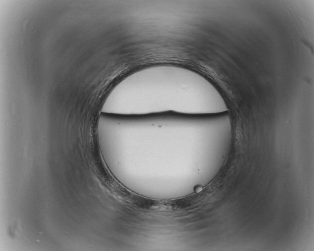 X0000102780211200808180939