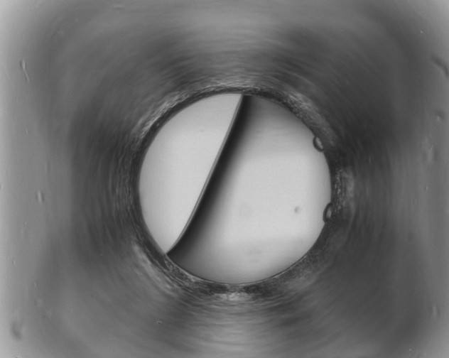 X0000102780212200808180939