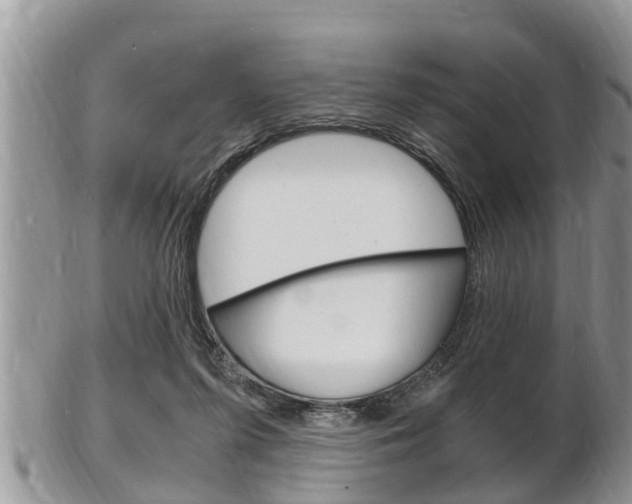 X0000102780215200808180939