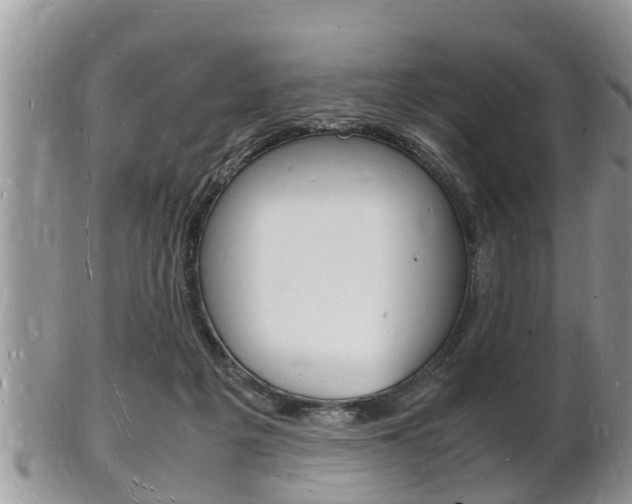 X0000102780217200808180939