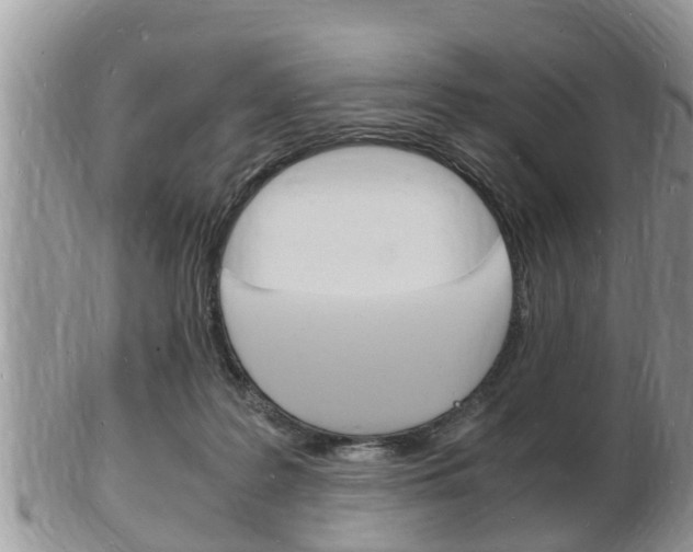 X0000102780219200808180939