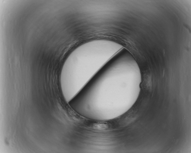 X0000102780220200808180939