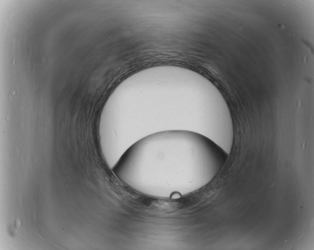 X0000102780221200808180939