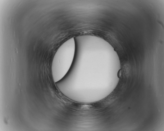 X0000102780222200808180939