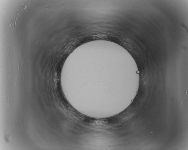 X0000102780223200808180939