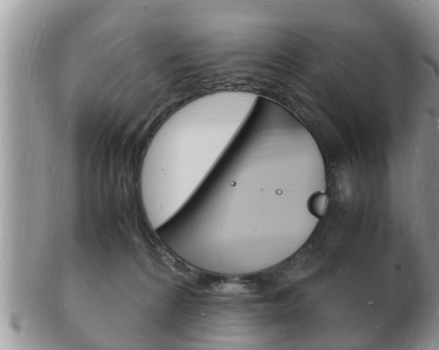 X0000102780224200808180939